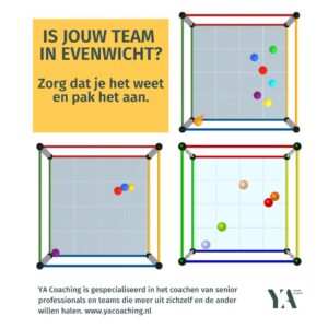 Elk team verschilt. De AEM-Cube geeft snel inzicht in talent.