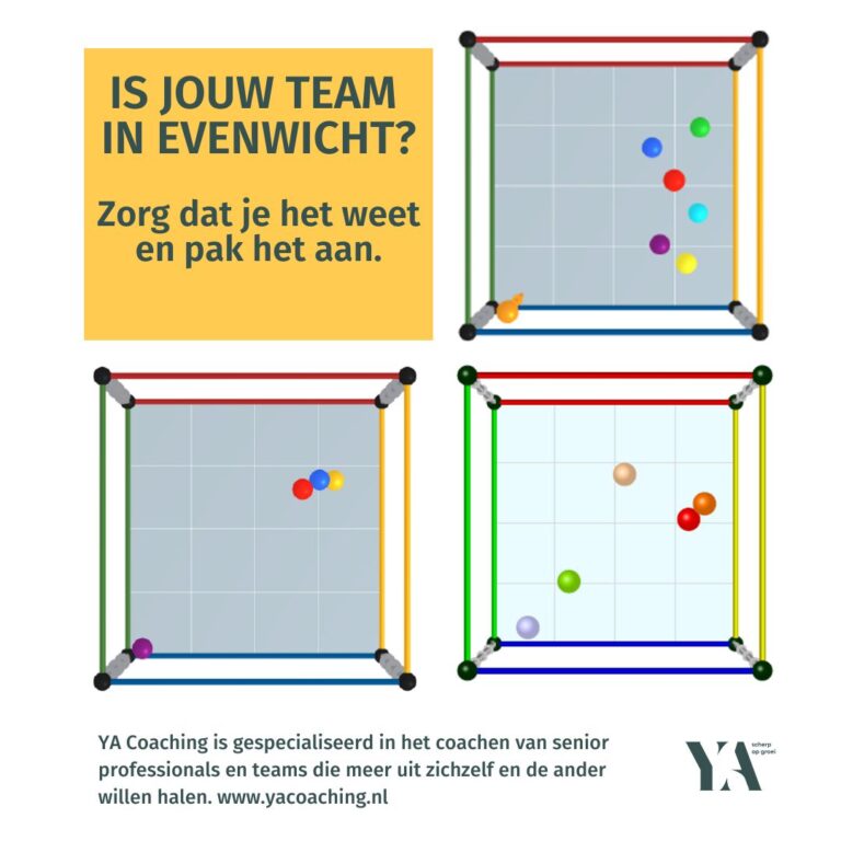 Elk team verschilt. De AEM-Cube geeft snel inzicht in talent.